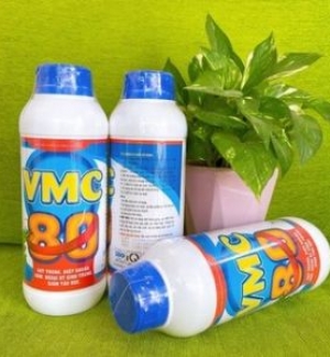  Nệm cao su thiên nhiên thoáng khí Gummi Classic 10cm