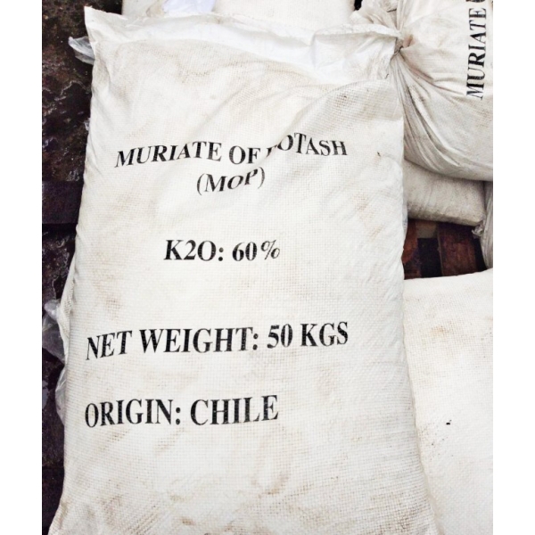 KALI CLORUA CHILE